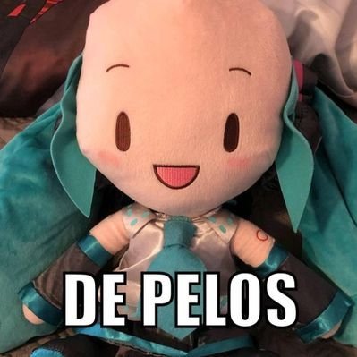 Si te sigo eres fan de Vocaloid's profile picture