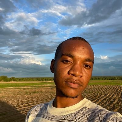 d_mushippi's profile picture
