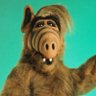 Alf ⚖️🇪🇺🇺🇸🇷🇸's profile picture