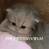 Xzy 的头像
