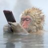 Profilbild von AF Citizen