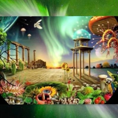 Dreamscapes and Nightmares's profile picture