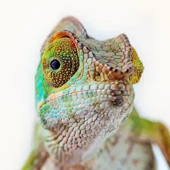JenkinsLei70103's profile picture