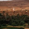 الاسمر التهامي مارب 的头像