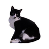 gingerolive's profile picture