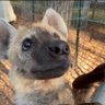 Profilbild von yeen