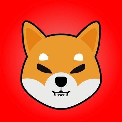 Shib's profile picture
