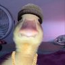Profilbild von Ducks