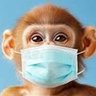 David's profile picture