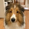 NY's profile picture
