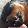 Profilbild von Edgar F