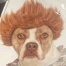 brian reynolds's profile picture