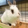 Profilbild von Mad meatball อิน 20 ly always
