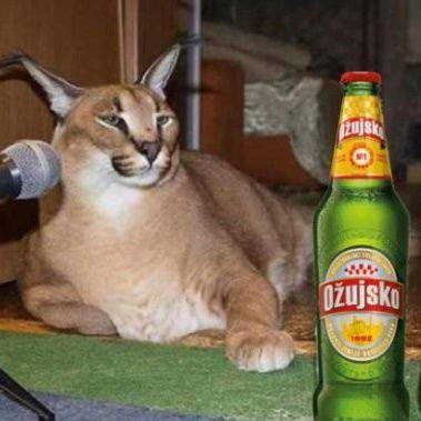krnjaa's profile picture