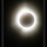 Linda's profile picture