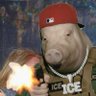 HowlingWiggerPig 🇺🇸 的头像