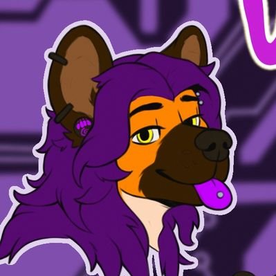 Vaalrein_Hyena's profile picture