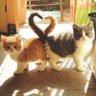 males12 profil fotoğrafı