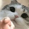 又被X了 的头像
