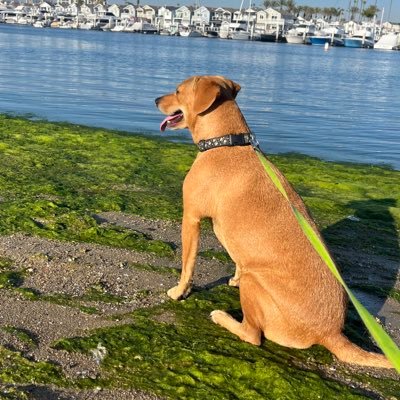 seanyfa's profile picture