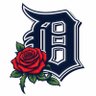 D Rose 🥀's profile picture
