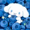 Profilbild von Saljoo's