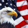 Peeved Patriot profil fotoğrafı