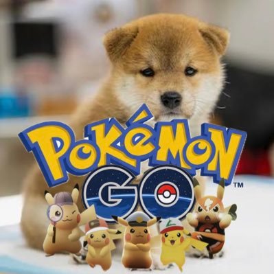 KEI🎮👑ポケモンGOアカウント買取|販売✨️'s profile picture