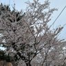 悩める50代ッス 的头像