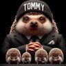 TommyB's profile picture
