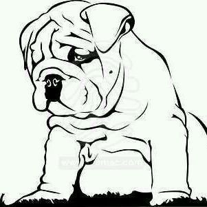 Sevillano's profile picture
