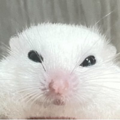 직직이's profile picture