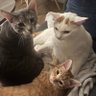Isabel Suarez profil fotoğrafı