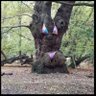 Poo Jans - Me, we, who knew?'s profile picture