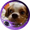 Profilbild von まいことママ🐶