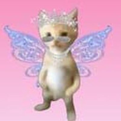 여짱's profile picture