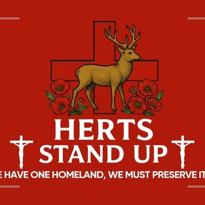 Hertfordshire Stand Up's profile picture