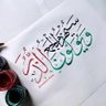 Naser ameen's profile picture