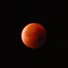 Dalmoon profil fotoğrafı