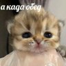 Бусинки 的头像