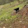 Фото профиля Yahya KERİMOĞLU