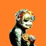 The ₿itcoin Ape 🐵₿ 的头像