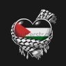 Syed Shahmeer Ahmed🇵🇰🇹🇷🇵🇸 的头像