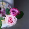 Фото профиля ثنا بانو