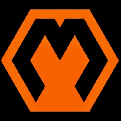 Metavoxelz's profile picture