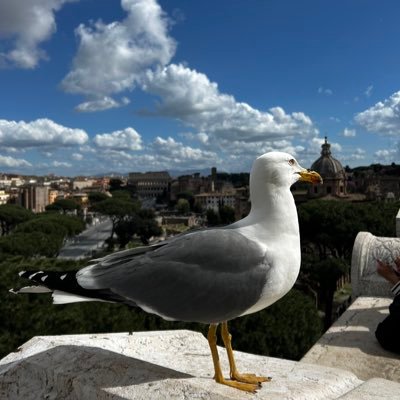 Jezikkostinema's profile picture