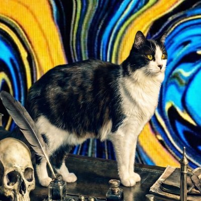 すたんれい｜Alc.0% 人文知回路's profile picture