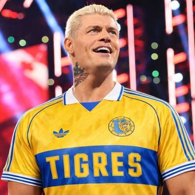 Cody Punk's profile picture