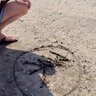 秘密のパレードに参加したい 的头像