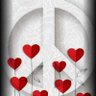 Patti 🕊️💗🌿🌻🪴👩🏻🌾🌳🌎 🇺🇸✌️'s profile picture
